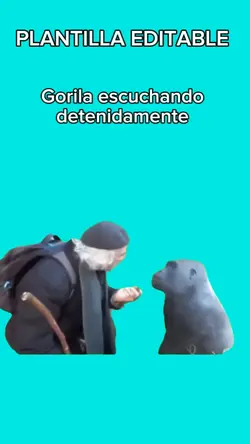 Gorila escuchando 