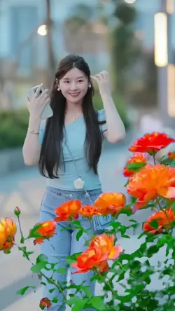 Hoa hồng đẹp