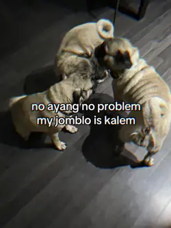 NO AYANG NO PROBLEM