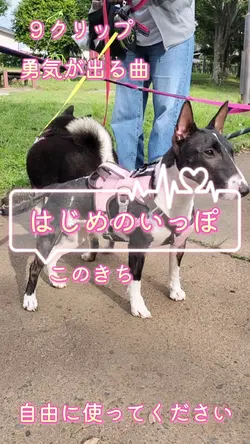 はじめのいっぽ  このきち