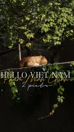 Suy nghĩ phải chín