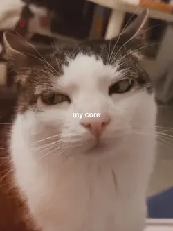 My Core