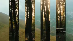 video transition