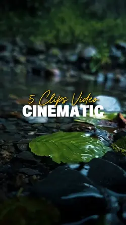 5 Clips Video 