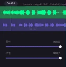 Rebel heart 음성제거