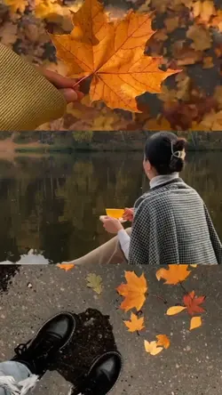 3 clips