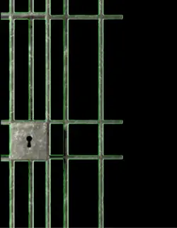 Slamming Jail Door 
