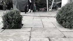 Puppppyyy