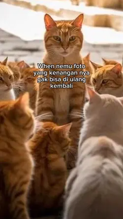 Sound Nya Sad