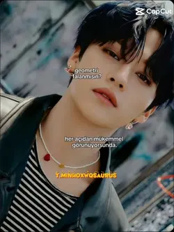 Geometri falan msn? 