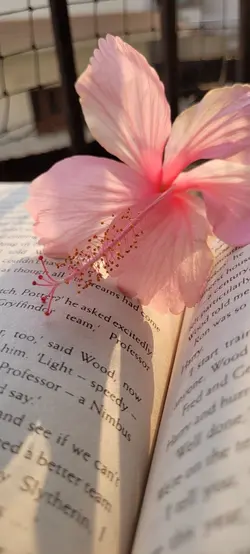 novel aesthetic