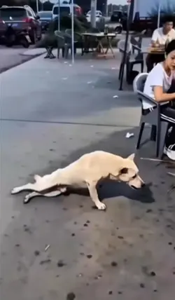 Record a funny video