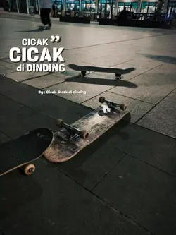 Cicak2 didinding