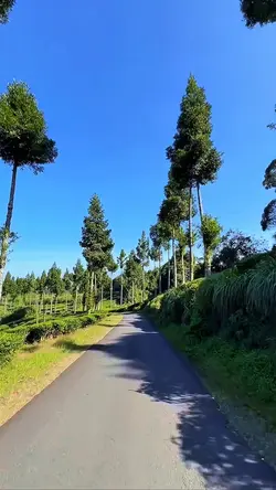8 video road trip