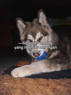 hidup itu tenang