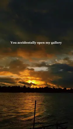 My Gallery 