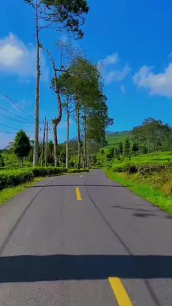 travel video hd