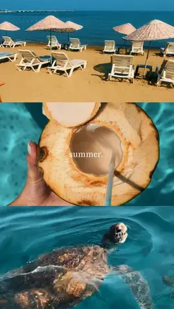 summer