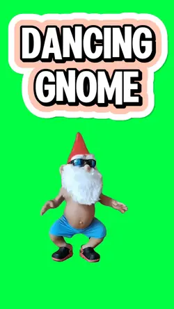 FUNNY DANCING GNOME