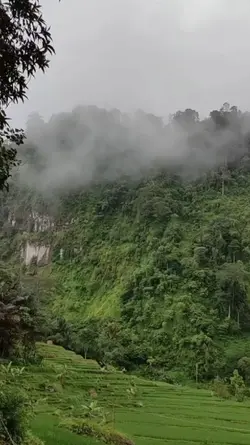 Mentahan Video