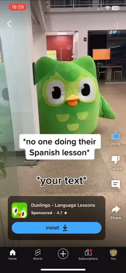 Nobody: duolingo
