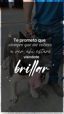 te apoyaré siempre