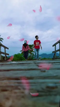 contoh video