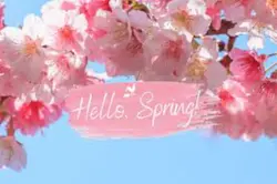 Spring is here 