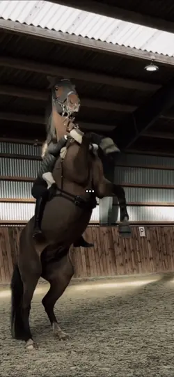 Horse riding…