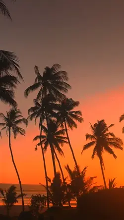 Sunset Lover