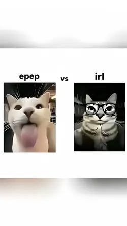 FF vs irl viral 