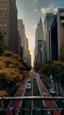 city cinematic 