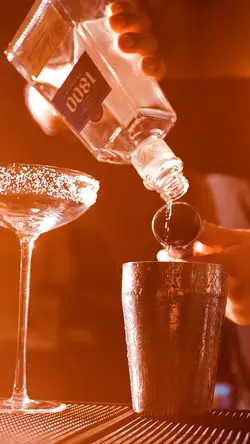 Drinks Barman bebida