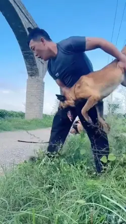 Dog Trick