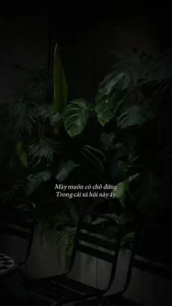 Mày muốn có chỗ đứng