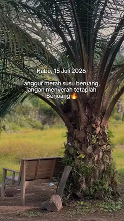 Rabu, 15 Juli 