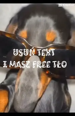 Free tło