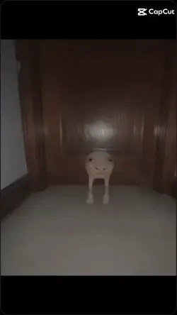 Are u pooping? 