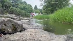 Hokkaido Festival