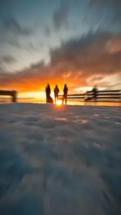 Animal song..LoVe..