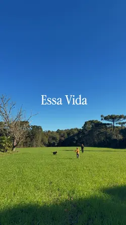 Vida boa é essa