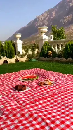 Picnic vlog