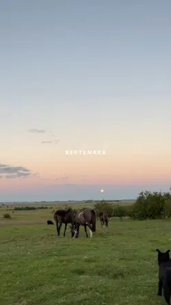 SEPTEMBER