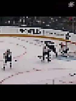 Leafs