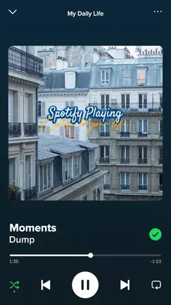Spotify Playing