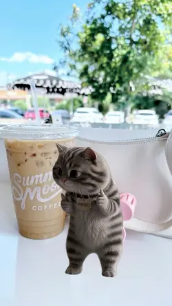 Kucing Joget