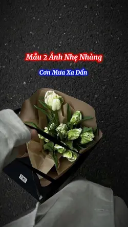 Cơn Mưa Xa Dần