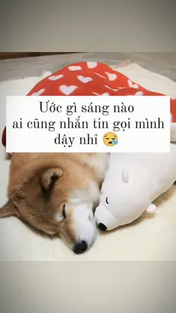 ước như vậy 