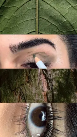 UGC template 