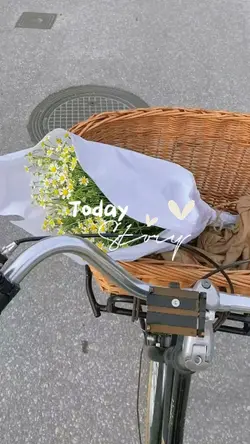 today story